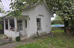 Casa 5 camere , 300 mp;  Teren - 2000 mp . Viile Satu Mare