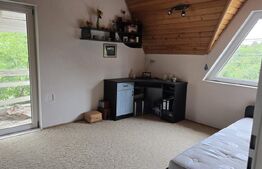 Casa 5 camere , 300 mp;  Teren - 2000 mp . Viile Satu Mare