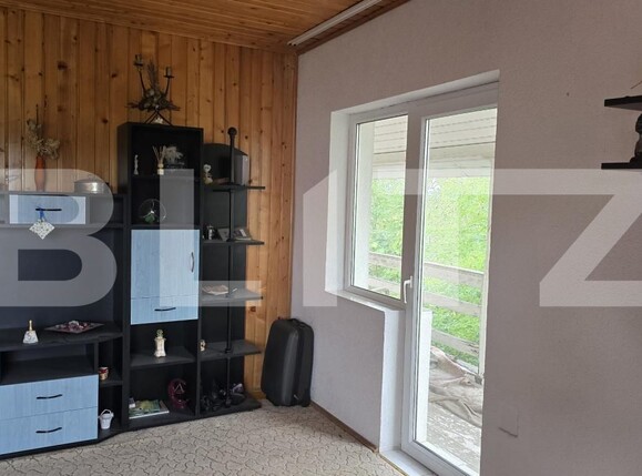 Casa de vânzare 5 camere Viile Satu Mare - 178619CV | BLITZ Satu Mare | Poza9