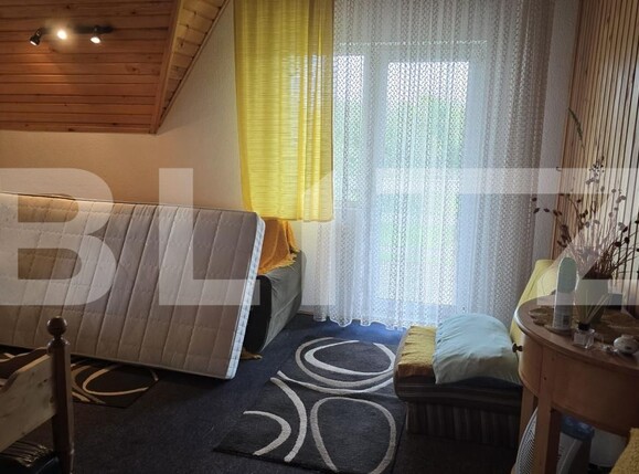 Casa de vânzare 5 camere Viile Satu Mare - 178619CV | BLITZ Satu Mare | Poza13