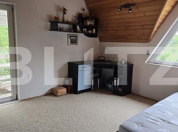 Casa de vânzare 5 camere Viile Satu Mare - 178619CV | BLITZ Satu Mare | Poza12