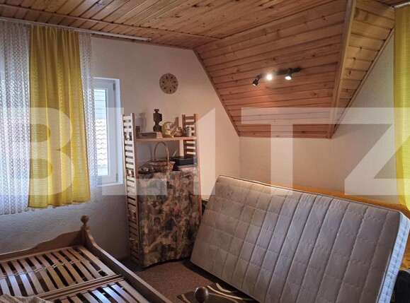 Casa de vânzare 5 camere Viile Satu Mare - 178619CV | BLITZ Satu Mare | Poza10