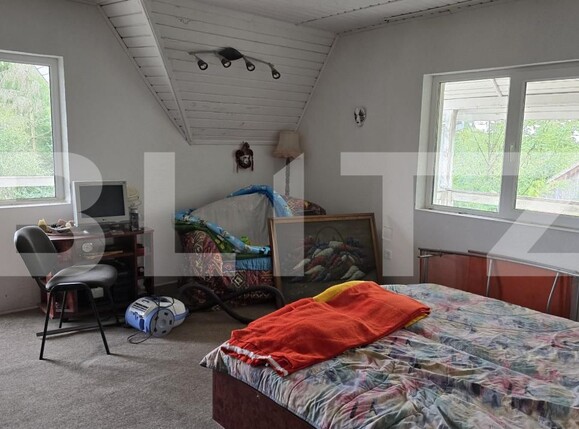 Casa de vânzare 5 camere Viile Satu Mare - 178619CV | BLITZ Satu Mare | Poza14