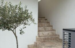 Casa tip P+M, 220 mp,3600 mp teren, comuna Păulesti 