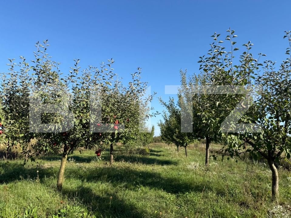 Casa de vânzare 3 camere Paulesti - 178743CV | BLITZ Satu Mare | Poza14