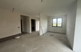 Casa parter  120 mp  -Vetis