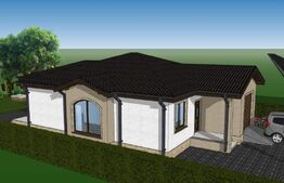 Casa parter  120 mp  -Vetis