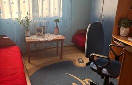 Apartament 2 camere, Carpați 1