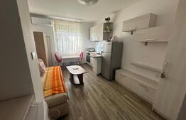 Garsonieră de vânzare, 14,27 mp, zona Careiulu