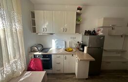 Garsonieră de vânzare, 14,27 mp, zona Careiulu