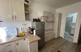 Garsonieră de vânzare, 14,27 mp, zona Careiulu