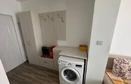 Garsonieră de vânzare, 14,27 mp, zona Careiulu