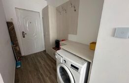 Garsonieră de vânzare, 14,27 mp, zona Careiulu