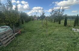 Casa 216 mp, 900 mp teren, zona Odoreului 