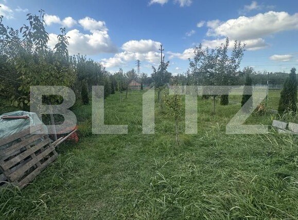 Casa de vânzare 6 camere Periferie - 179187CV | BLITZ Satu Mare | Poza13