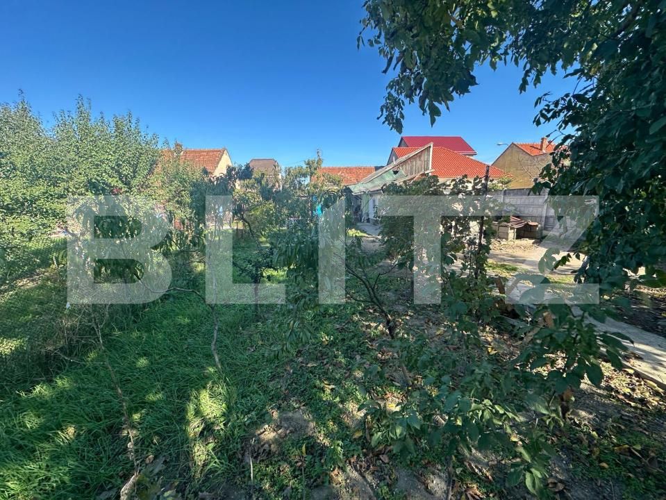 Casa de vânzare 4 camere Unio - 179254CV | BLITZ Satu Mare | Poza18