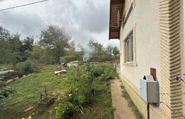 Casă 120 mp, teren 31 arii – Medișa, comuna Viile Satu Mare