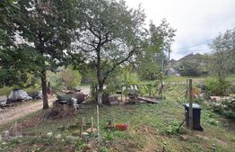 Casă 120 mp, teren 31 arii – Medișa, comuna Viile Satu Mare