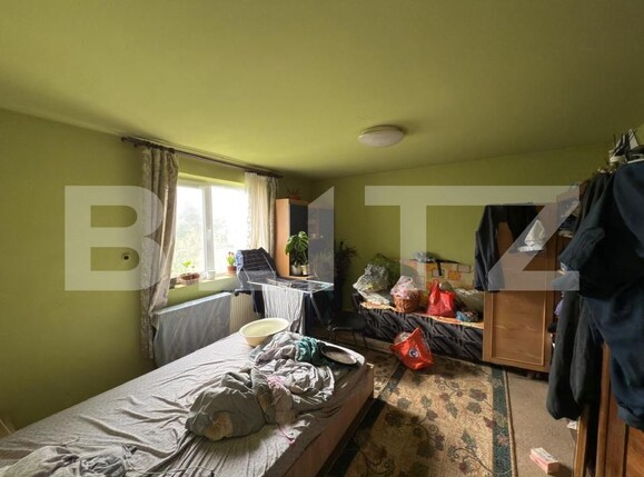 Casa de vânzare 3 camere Viile Satu Mare - 179746CV | BLITZ Satu Mare | Poza8