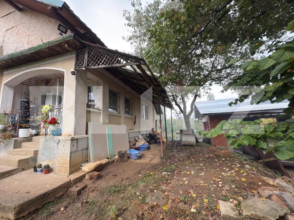 Casa de vânzare 3 camere Viile Satu Mare - 179746CV | BLITZ Satu Mare | Poza3