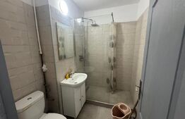 Garsonieră de închiriat, 40 mp, zona Burdea