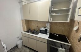 Garsonieră de închiriat, 40 mp, zona Burdea