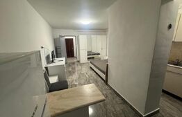 Garsonieră de închiriat, 40 mp, zona Burdea