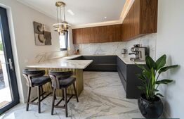 Casa 9 camere, 330 mp, 400 mp teren, zona Semicentrală