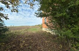 Casă de vânzare, 120 mp, zona Agriș