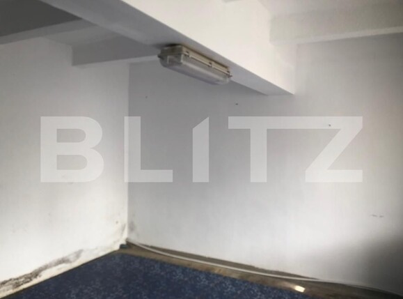 Spațiu comercial de închiriat Central - 180102SIC | BLITZ Satu Mare | Poza2
