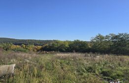 Casa 2 camere, 76 mp, zona SOCOND