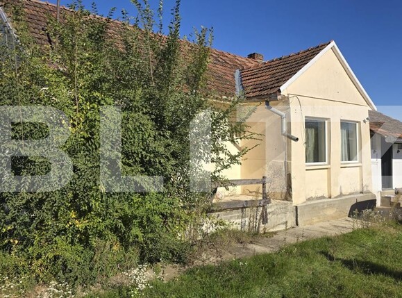 Casa de vânzare 2 camere Sud - 180132CV | BLITZ Satu Mare | Poza1