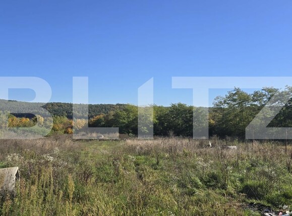 Casa de vânzare 2 camere Sud - 180132CV | BLITZ Satu Mare | Poza6