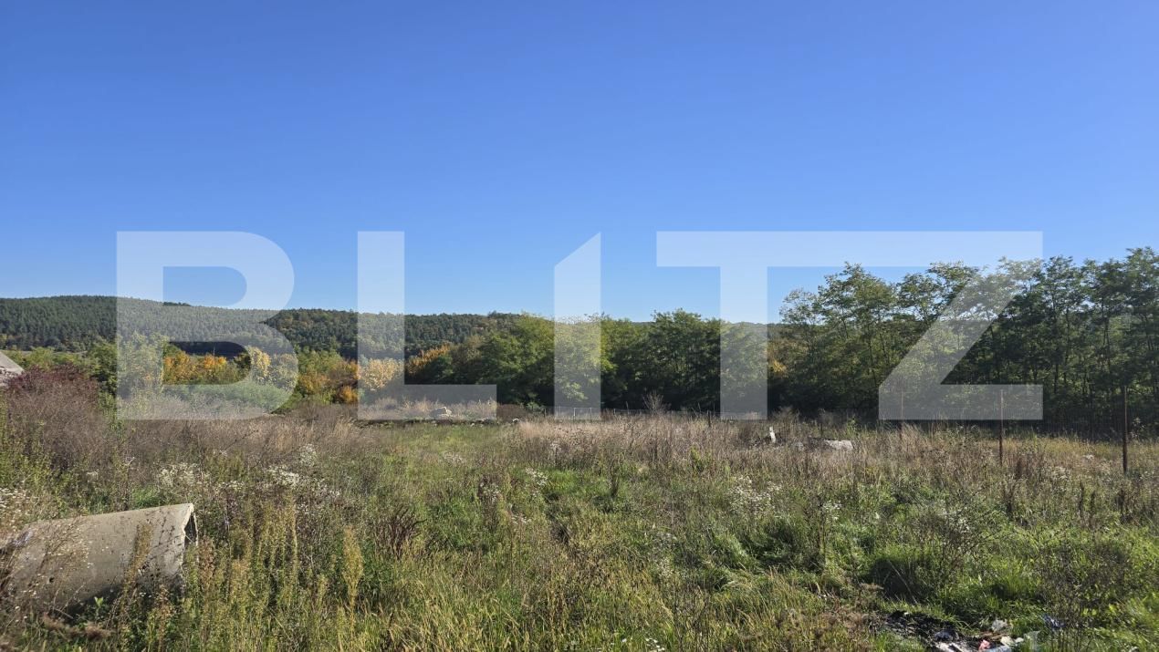 Casa de vânzare 2 camere Sud - 180132CV | BLITZ Satu Mare | Poza6