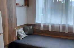 Garsonieră de vânzare, 13 mp, zona Careiului 