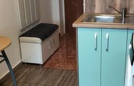 Garsonieră de vânzare, 13 mp, zona Careiului 