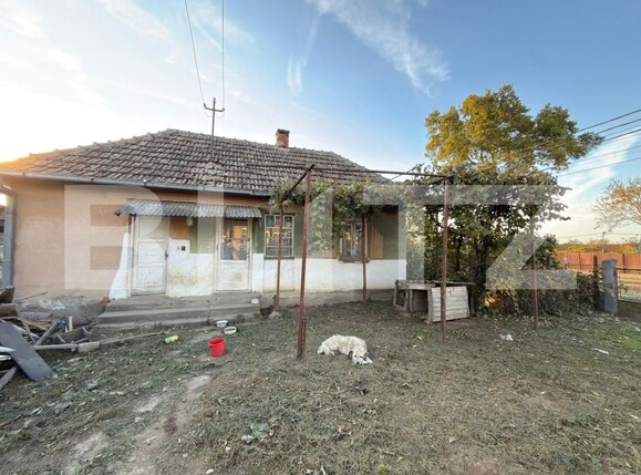 Casa de vânzare 4 camere Exterior Est - 180409CV | BLITZ Satu Mare | Poza5