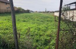 Teren Extravilan, 3.321 mp, zona Periferica