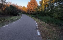 Casa bătrânească, 1500 mp teren, comuna Pomi