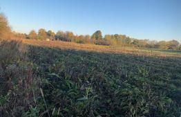 Casa bătrânească, 1500 mp teren, comuna Pomi