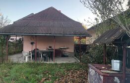 Casa bătrânească, 2000 mp teren, comuna Pomi