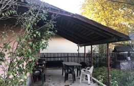 Casa bătrânească, 1500 mp teren, comuna Pomi