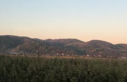 Casa bătrânească, 1500 mp teren, comuna Pomi