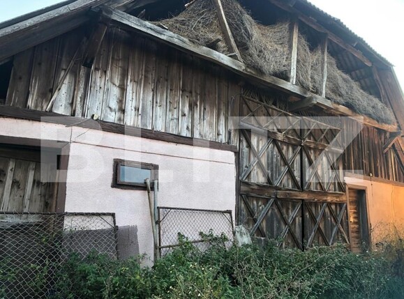 Casa de vânzare 2 camere Exterior Sud - 180474CV | BLITZ Satu Mare | Poza13