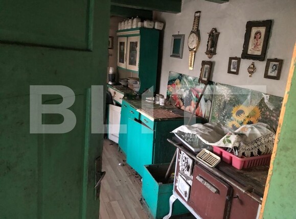 Casa de vânzare 2 camere Exterior Sud - 180474CV | BLITZ Satu Mare | Poza15