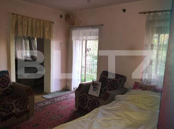 Casa de vânzare 2 camere Exterior Sud - 180474CV | BLITZ Satu Mare | Poza7