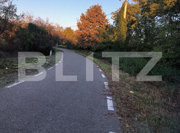 Casa de vânzare 2 camere Exterior Sud - 180474CV | BLITZ Satu Mare | Poza2