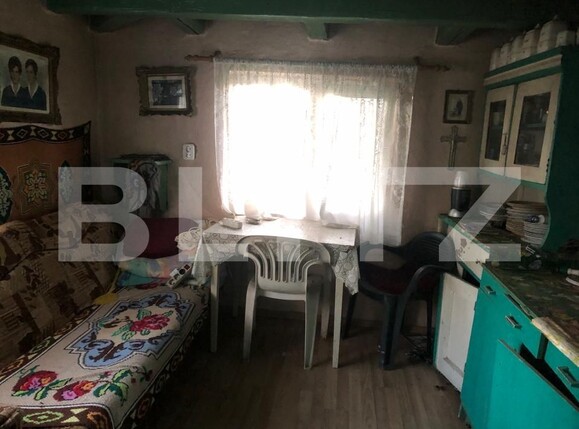 Casa de vânzare 2 camere Pomi - 180474CV | BLITZ Satu Mare | Poza14