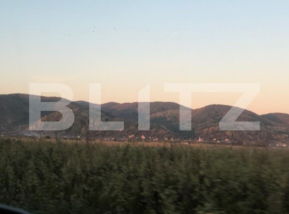 Casa de vânzare 2 camere Exterior Sud - 180474CV | BLITZ Satu Mare | Poza16