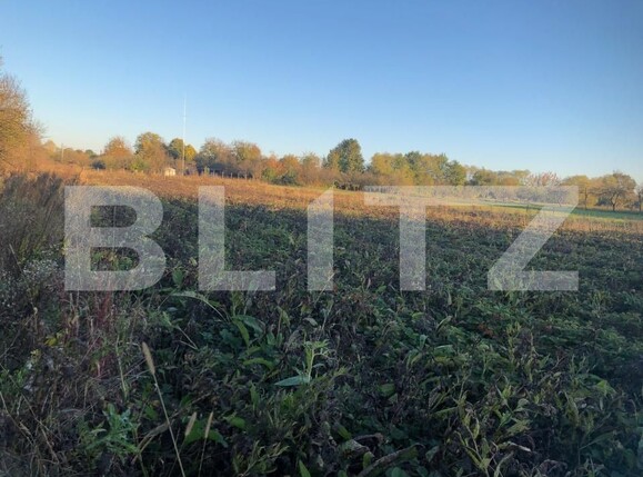 Casa de vânzare 2 camere Exterior Sud - 180474CV | BLITZ Satu Mare | Poza1